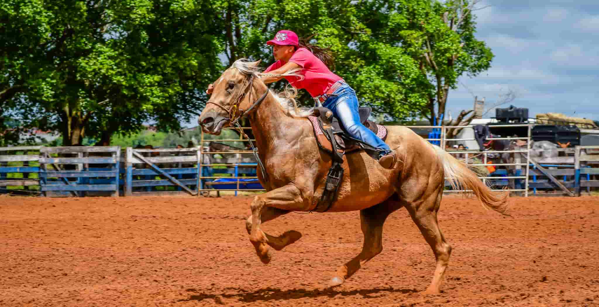 Pole Bending | What is Pole Bending and what common injuries are found in the discipline