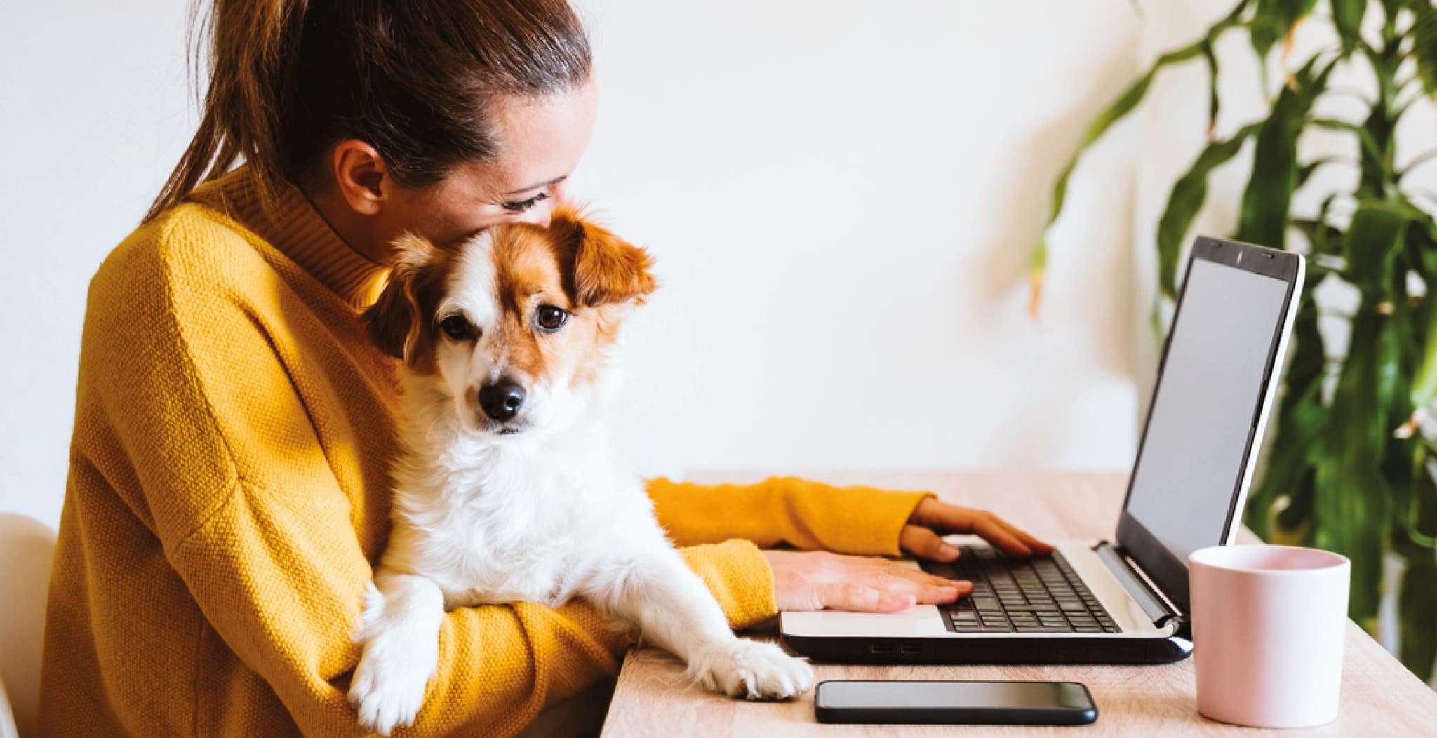 DOG StreamZ Collars | Tips & Tricks to help with your new magnetic dog collar