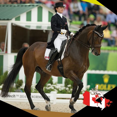 Belinda Trussell. EQU StreamZ Magnetic Horse Fetlock Hock bands for joint care and wellbeing in horse. Unique magnetic technology which supports horses in dressage, showjumping, barrel racing, rodeo, eventing and more. Endorsed by leading professionals.