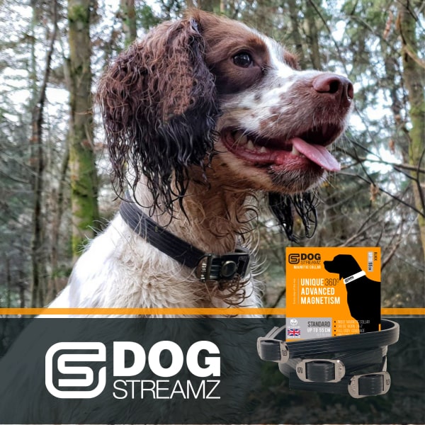 DOG Streamz advanced magnetic therapy for dogs in a magnetic collar for natural pain relief and accelerated recovery in dog injuries