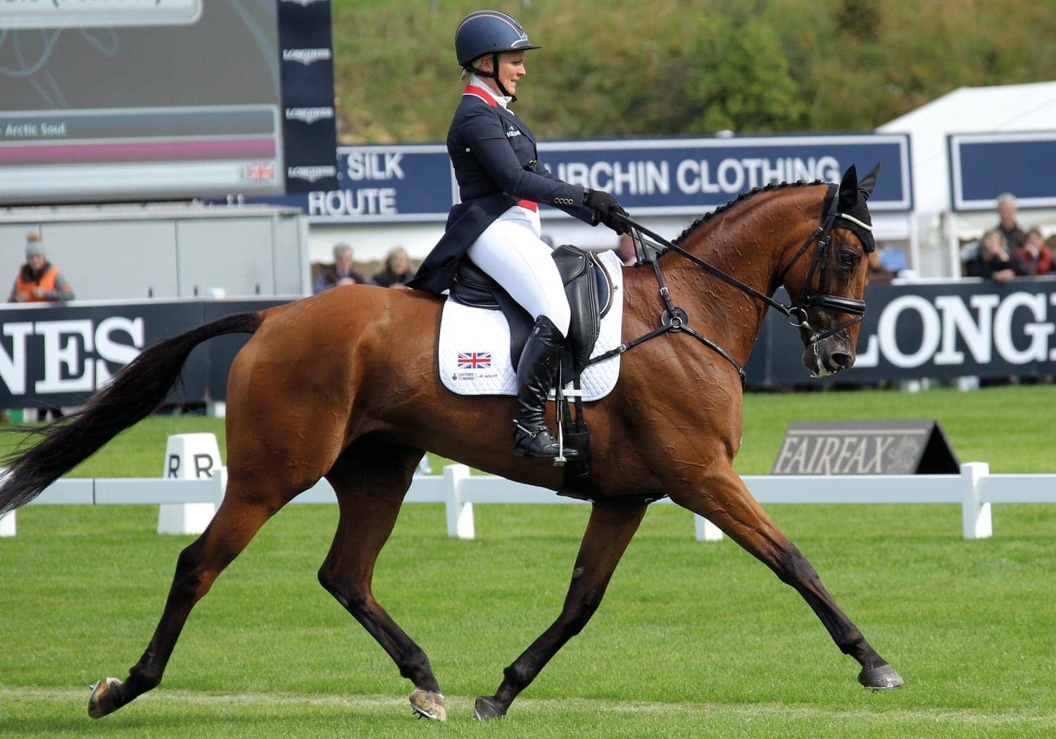 EQU Streamz advanced magnetic fetlock and hock bands for horse and ponies joint care and wellbeing image of sponsored professional equestrian rider dressage barrel racing eventing showjumping racing and much more. Unique magnetic approach for horses.