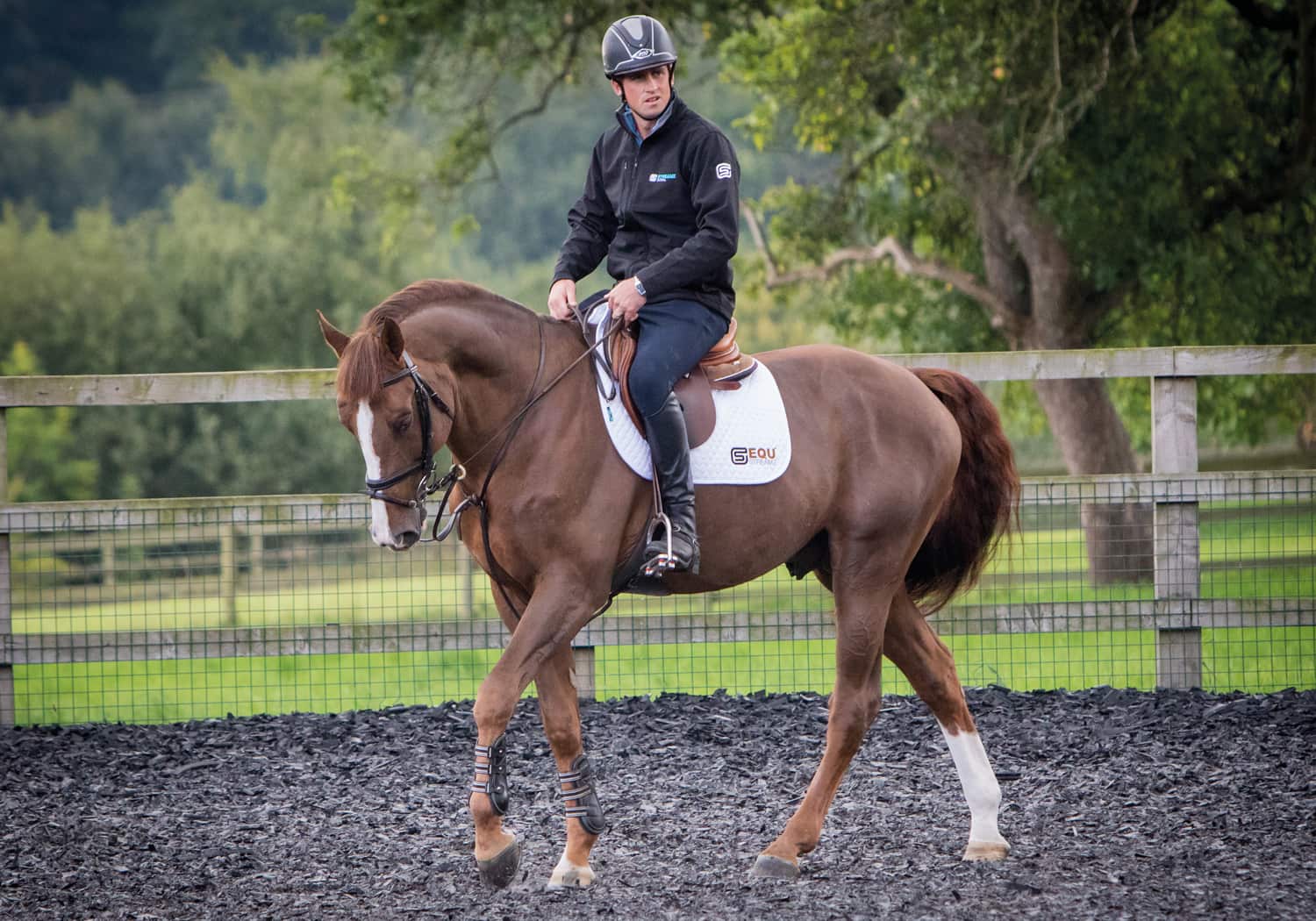 EQU Streamz advanced magnetic fetlock and hock bands for horse and ponies joint care and wellbeing image of sponsored professional equestrian rider dressage barrel racing eventing showjumping racing and much more. Unique magnetic approach for horses.