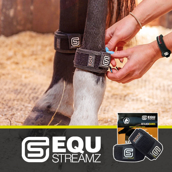 EQU StreamZ Horse Bands Advanced Magnetism for horses in Canada. Ideal for joint care and wellbeing to support your horse in barrel racing, showjumping, eventing, rodeo and much more. For horses fetlocks and hocks and RRP for $120