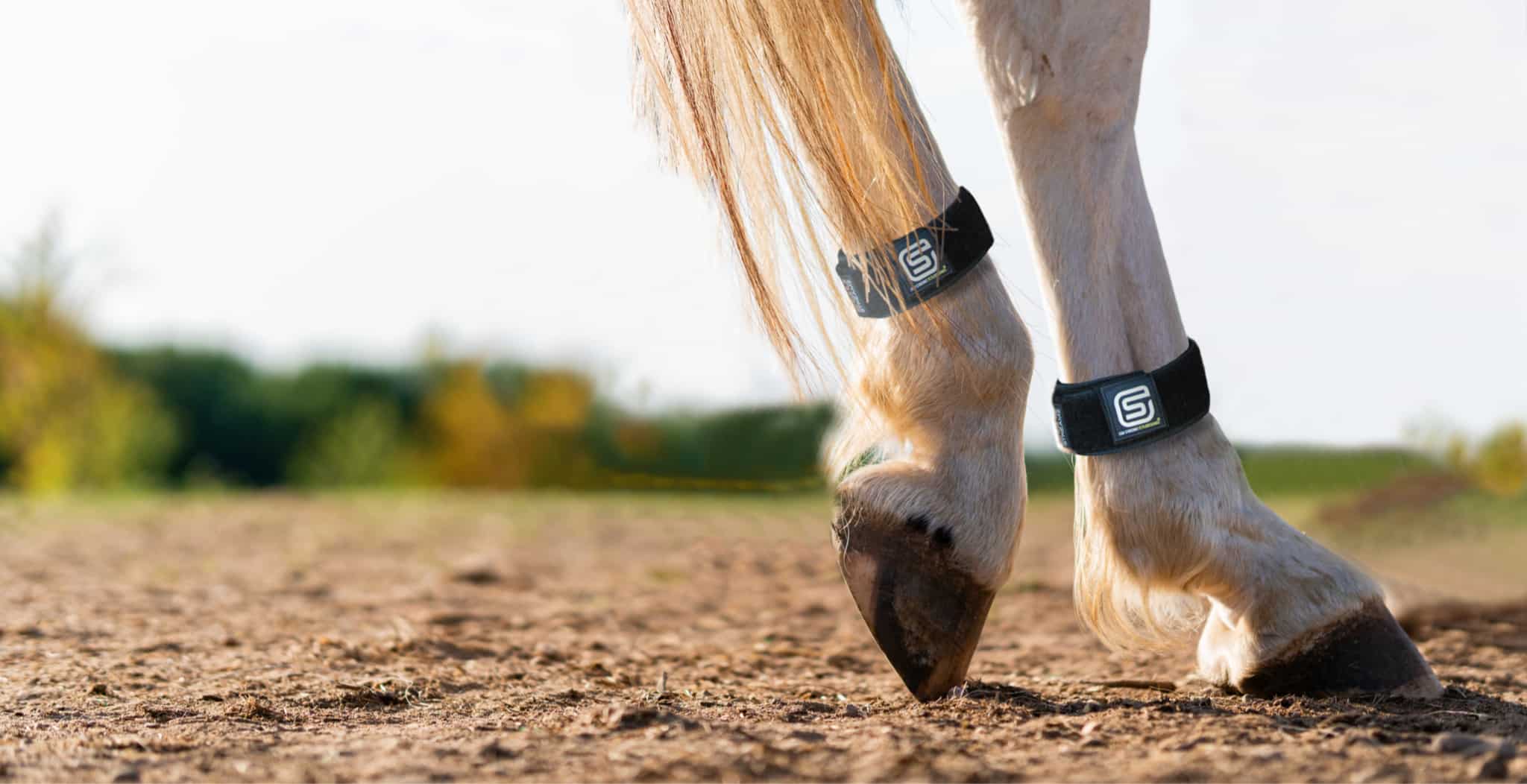EQU Streamz advanced magnetic bands for horses for natural pain relief and accelerated recovery.