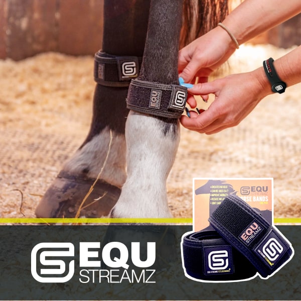 EQU Streamz advanced magnetic horse bands for natural pain relief and accelerated recovery