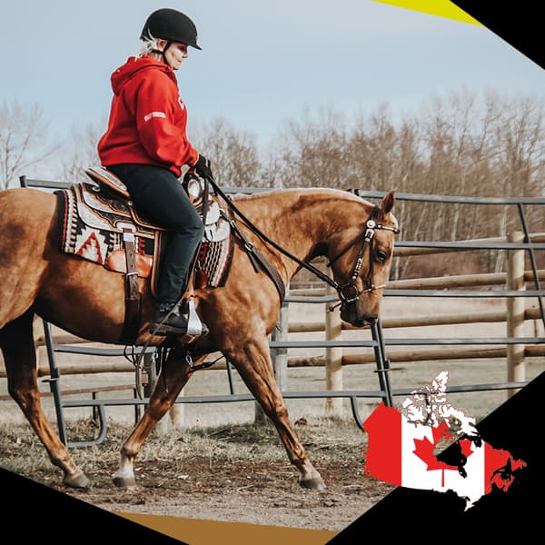 Julie Moorcroft. EQU StreamZ Magnetic Horse Fetlock Hock bands for joint care and wellbeing in horse. Unique magnetic technology which supports horses in dressage, showjumping, barrel racing, rodeo, eventing and more. Endorsed by leading professionals.