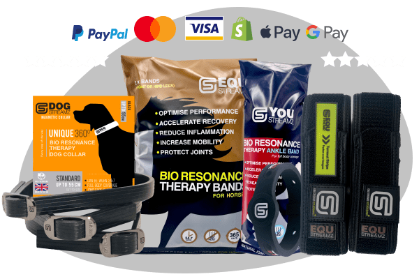 Collection of StreamZ Therapy Portfolio for humans, horses and dogs