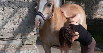 EQU Streamz massage therapy on horses blog image main
