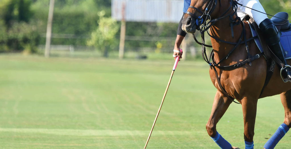 EQU Streamz inytrduction to horse discipline polo and history of the sport and equipment commonly used