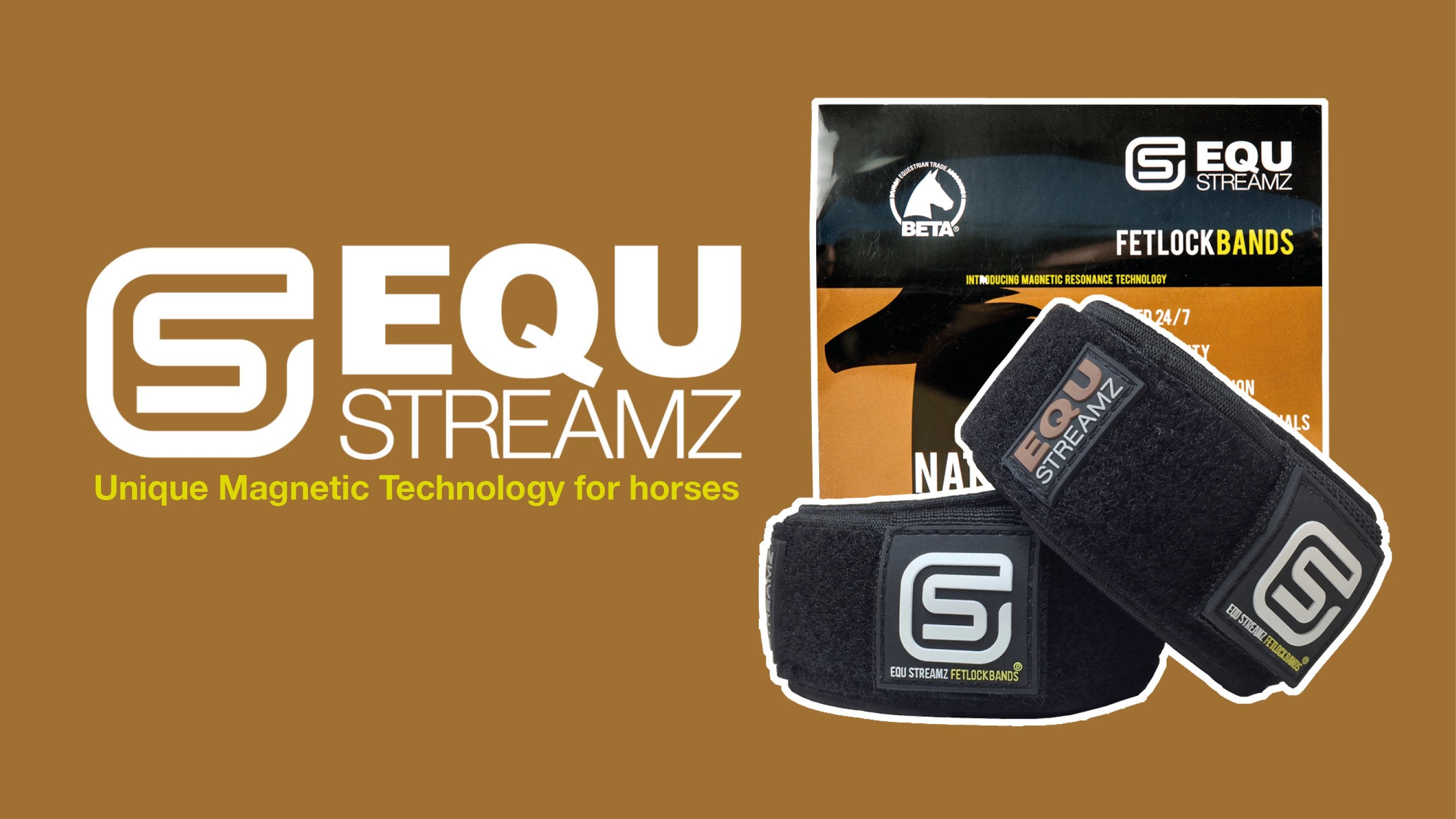 Life Is Currently Very Different | How can EQU StreamZ horse bands hel ...