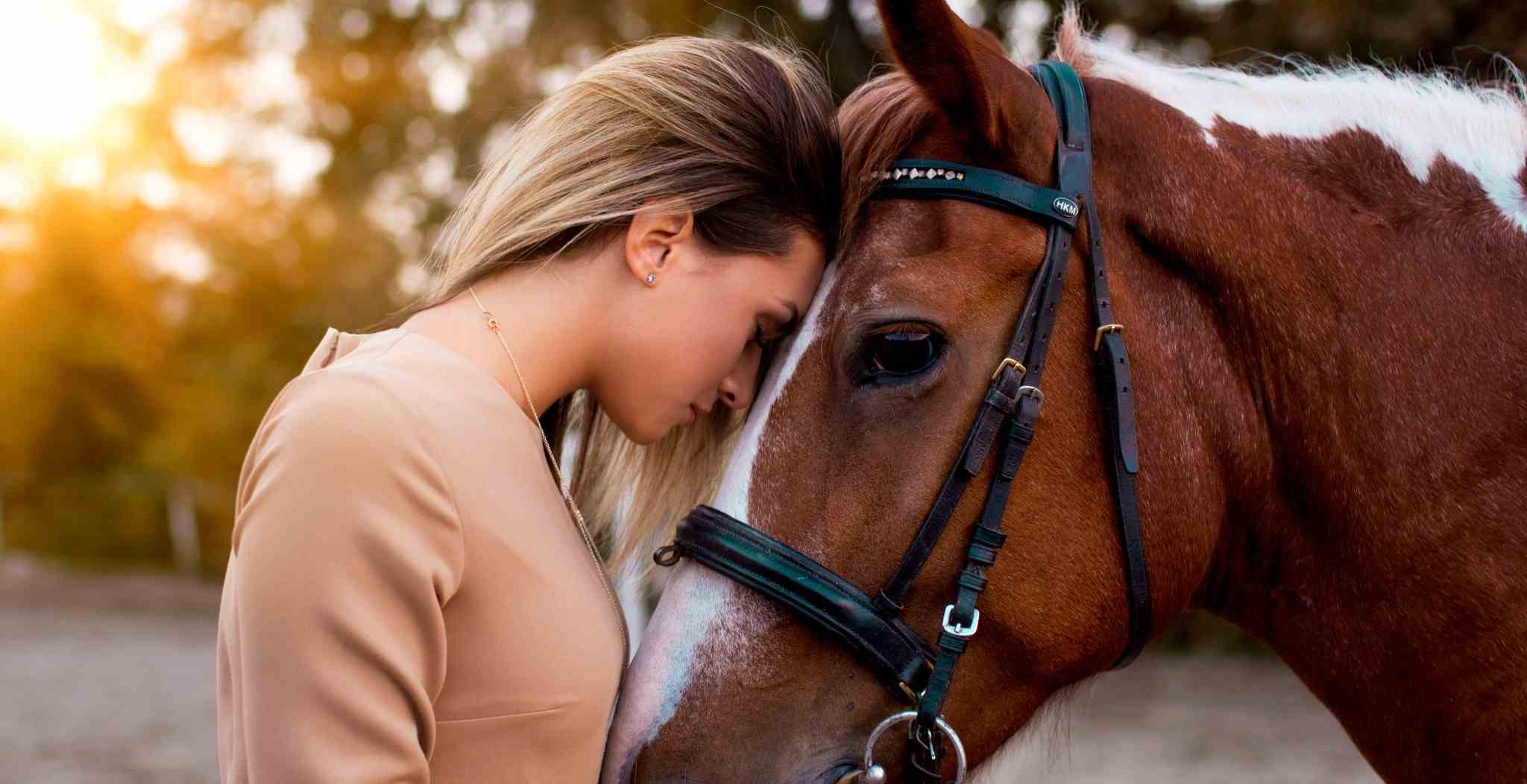 Pay attention to any small physical changes, watch them in trot