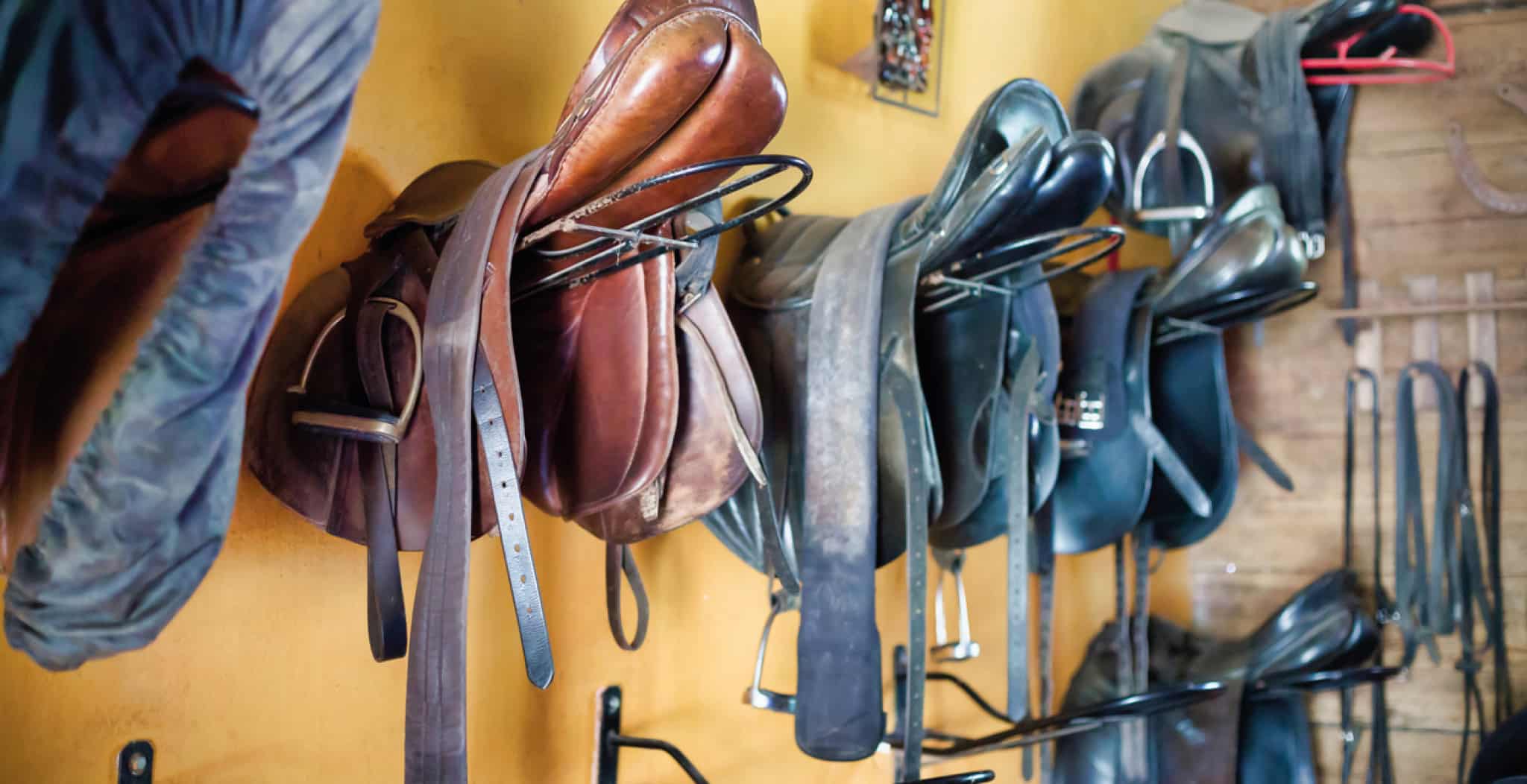 The Most Common Practiced Disciplines In The Horse Riding Community