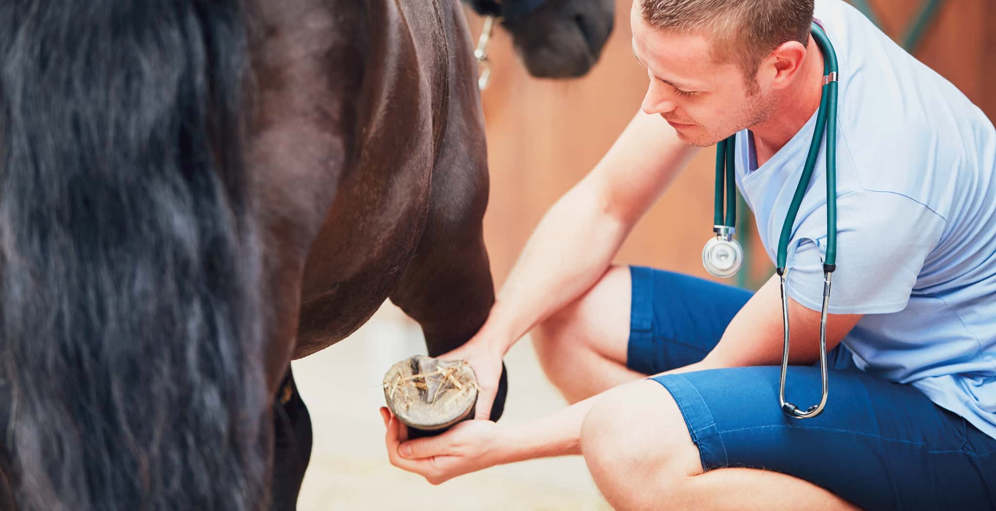 EQU Streamz blog page on physiotherapy or chiropractors and what the difference is