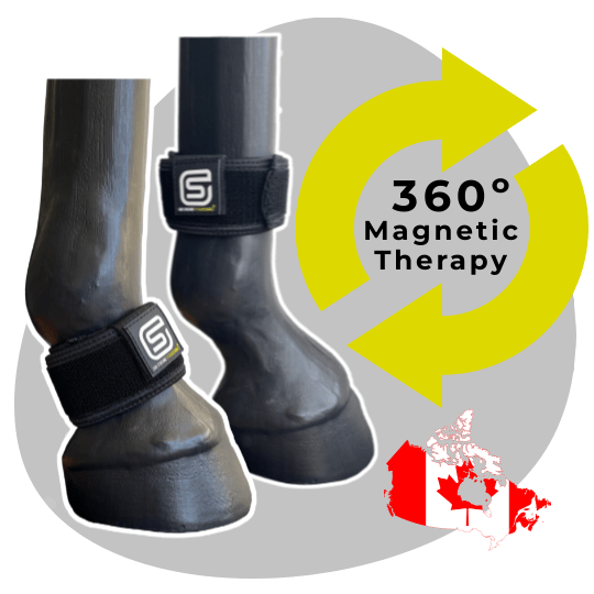 Magnetic bracelets best sale boots