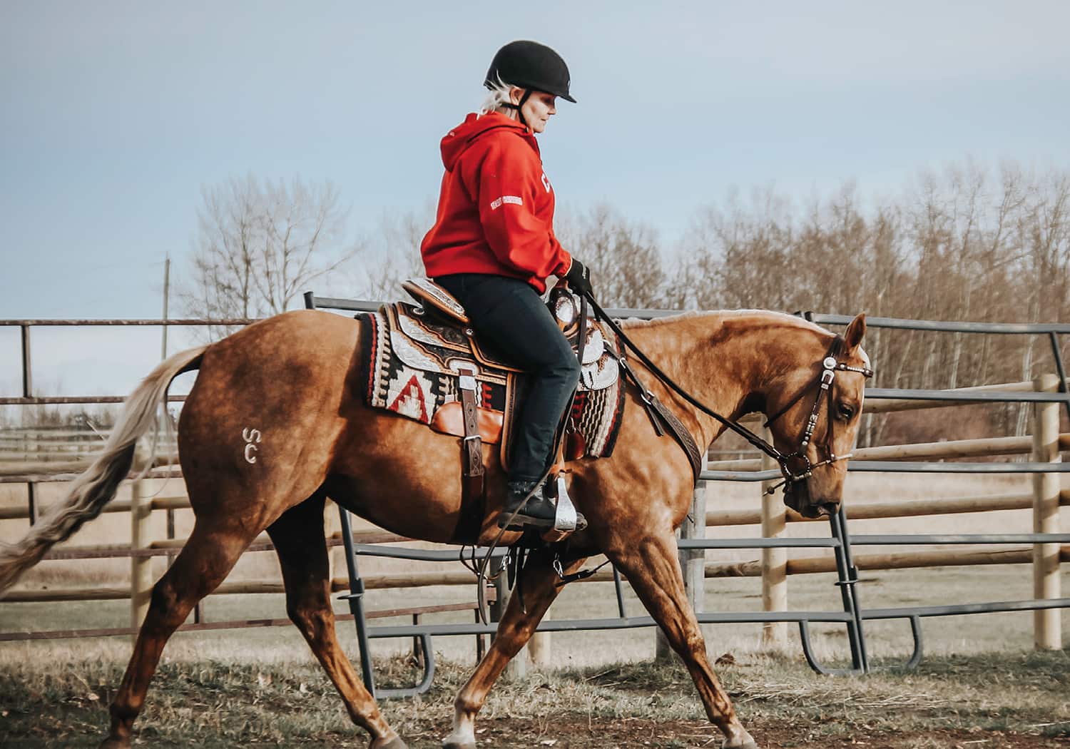 EQU Streamz advanced magnetic fetlock and hock bands for horse and ponies joint care and wellbeing image of sponsored professional equestrian rider dressage barrel racing eventing showjumping racing and much more. Unique magnetic approach for horses. 