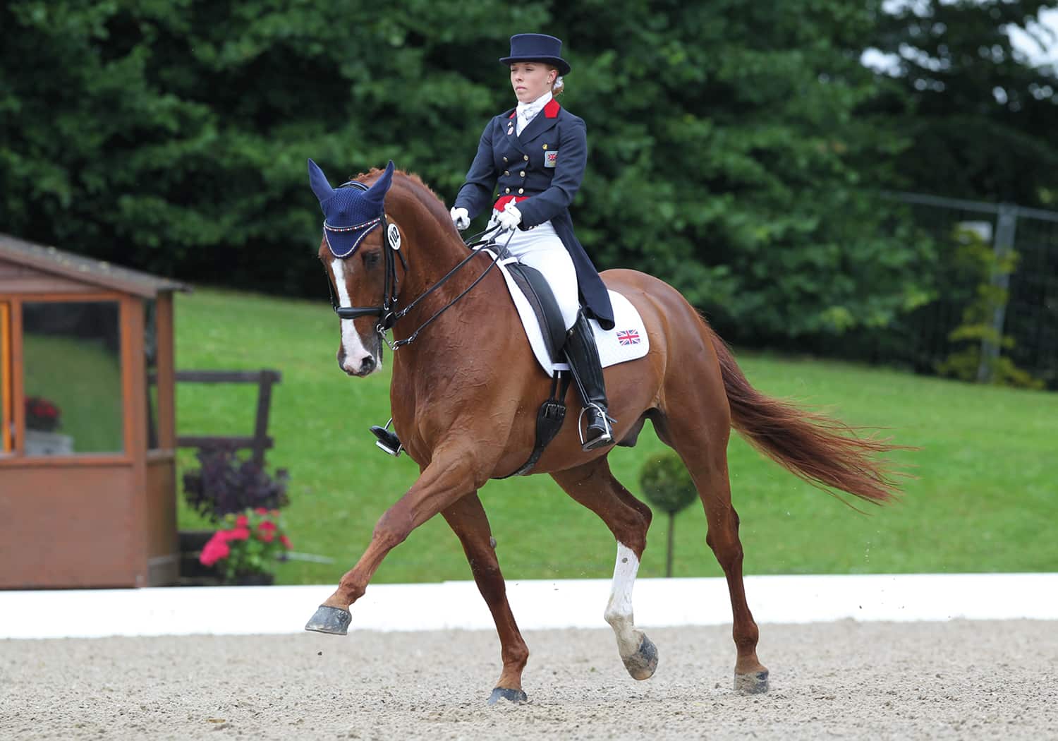 EQU Streamz advanced magnetic fetlock and hock bands for horse and ponies joint care and wellbeing image of sponsored professional equestrian rider dressage barrel racing eventing showjumping racing and much more. Unique magnetic approach for horses. 