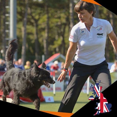 Bridgitte Wyre. DOG StreamZ Advanced magnetic dog collars in Canada. Endorsed by leading dog handlers agility dogs and working dogs across the world and now available in canada. Non-invasive no heat magnetism which allows the dog to wear the collar 24/7.