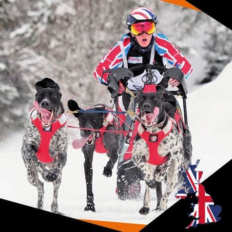 Vickie Pullin DOG StreamZ Advanced magnetic dog collars in Canada. Endorsed by leading dog handlers agility dogs and working dogs across the world and now available in canada. Non-invasive no heat magnetism which allows the dog to wear the collar 24/7.
