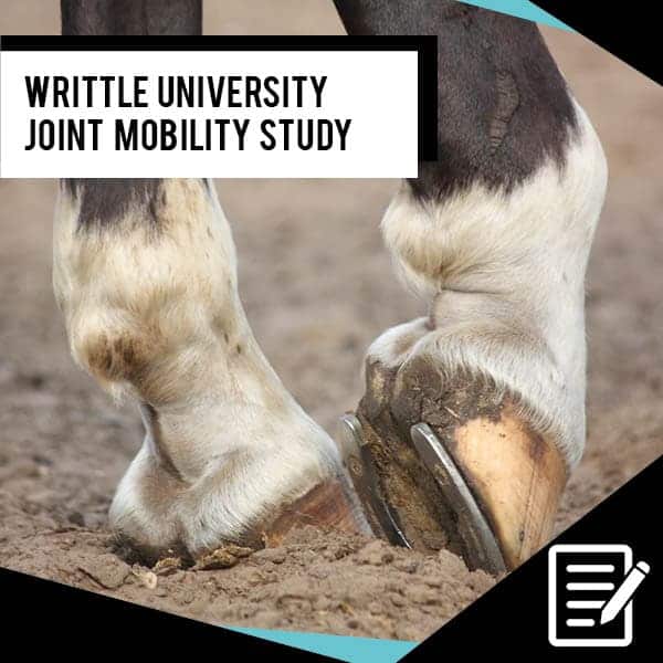 EQU StreamZ Advanced Magnetic Horse Bands it was possible to demonstrate a correlation between the use of the EQU StreamZ fetlock bands and improved tarsal joint mobility, most notably in the flexion phase of the stride.
