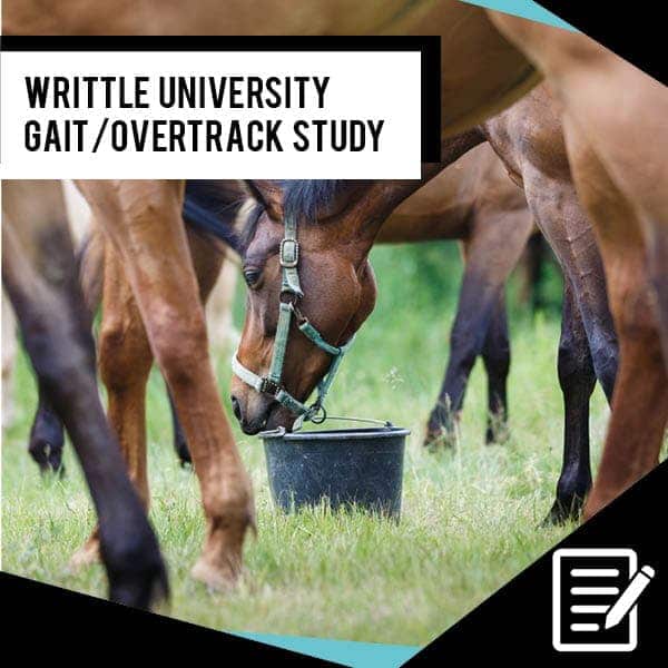 EQU StreamZ Advanced magnetic Horse Bands After a trial period of 21 days this study found that the horses in the treatment group showed a significant increase in overtrack. Study and trial image for streamz global website