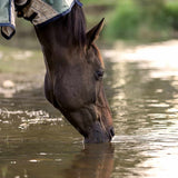  EQU StreamZ Bandes magnétiques pour chevaux (paire)