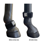 EQU Streamz magnetic bands on two horses legs either above or below the fetlock depending on turnout or box rest