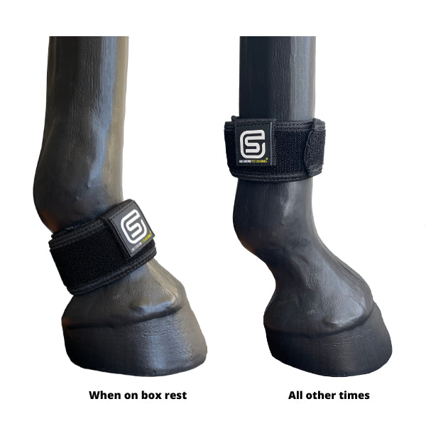 Magnetic fetlock boots sale