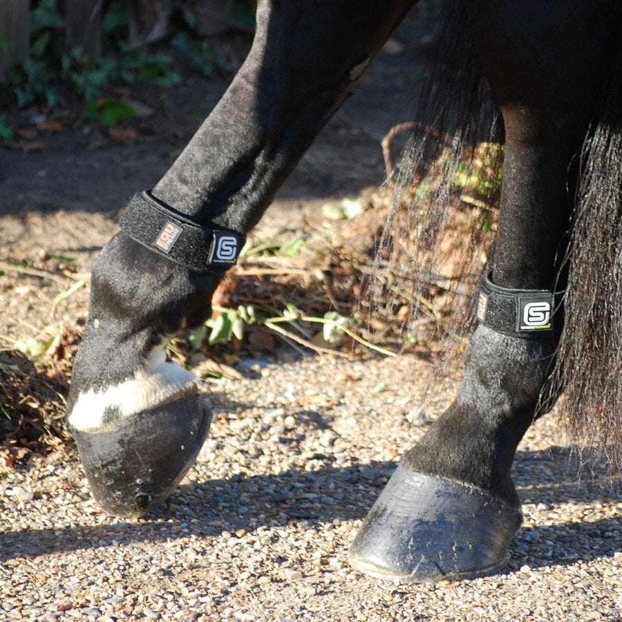 EQU StreamZ fetlock bands magnetic technology for horse and ponies_Sofie 2.jpg EQU StreamZ fetlock bands magnetic technology for horse and ponies_Rocky Image.jpg EQU StreamZ fetlock bands magnetic technology for horse and ponies worn on any legs shown on 